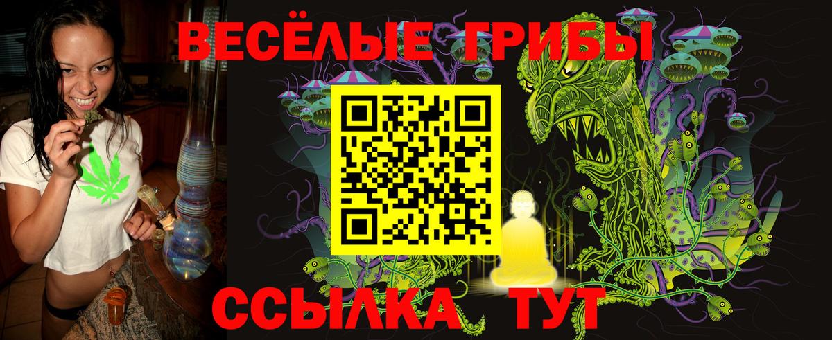 Галлюциногенные грибы Cubensis  Вход с VPN  Кандалакша 