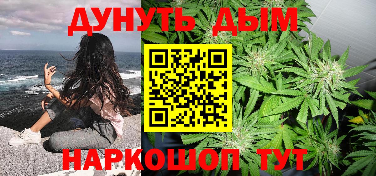 МАРИХУАНА сатива Кандалакша